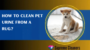 How to Clean Pet Urine From a Rug?