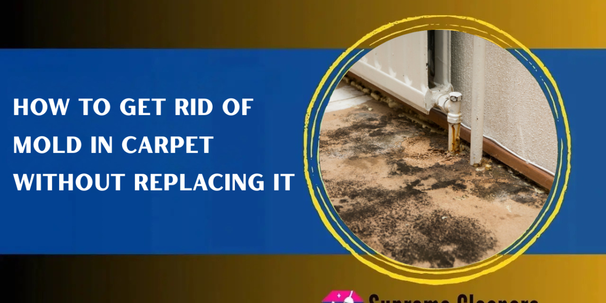 How to Get Rid of Mold in Carpet Without Replacing It