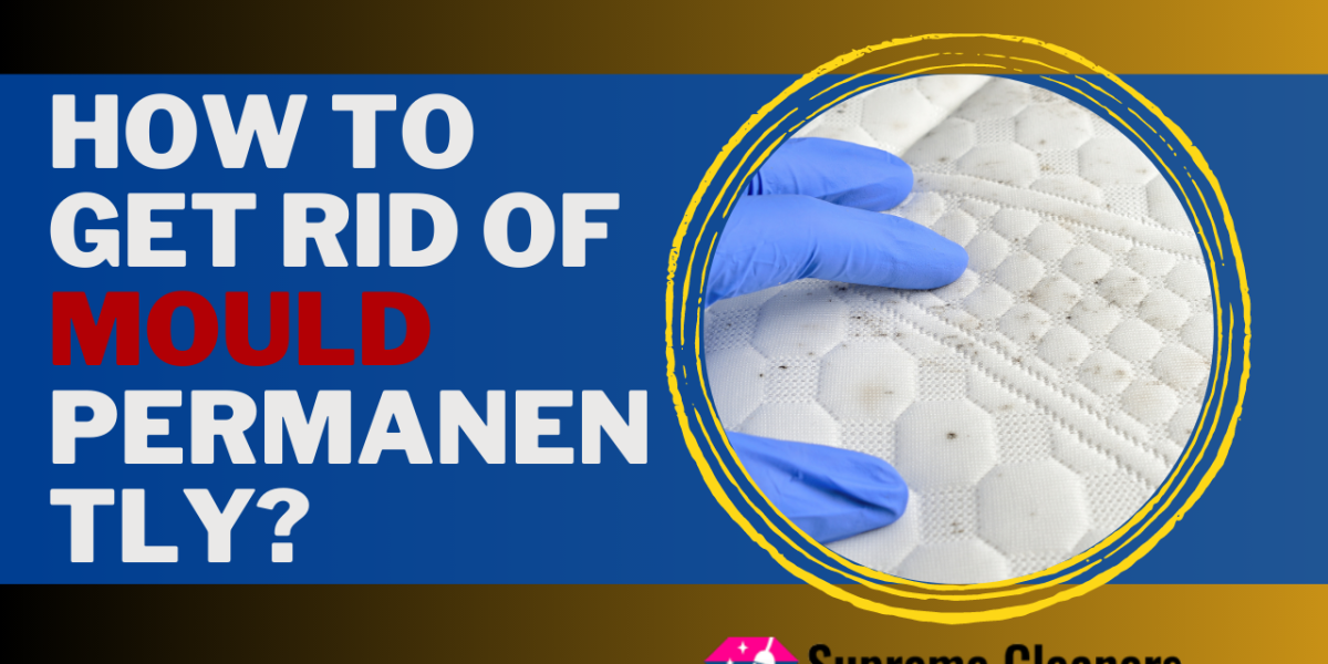 How to get rid of mould permanently?