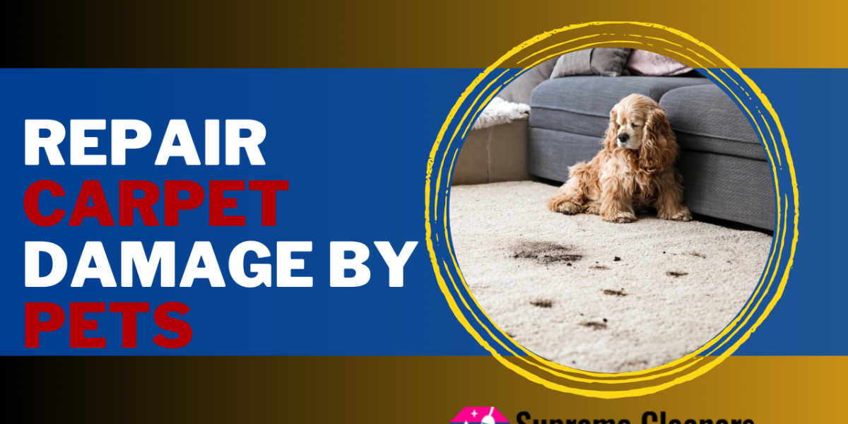 Repair Carpet Damage By Pets