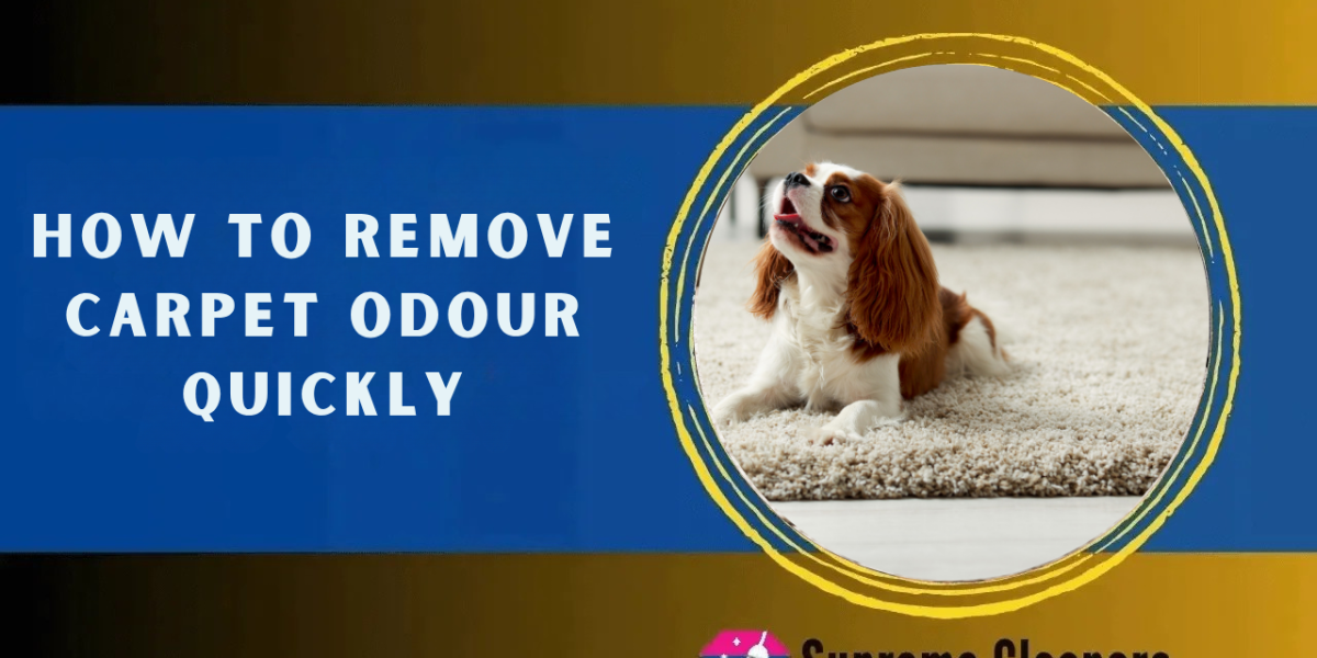 How to Remove Carpet Odour Quickly