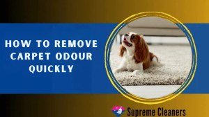 How to Remove Carpet Odour Quickly