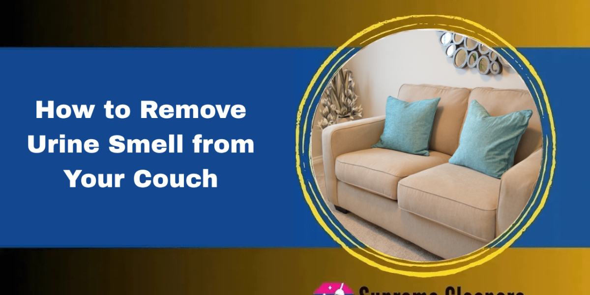 How to Remove Urine Smell from Your Couch