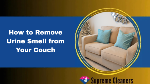 How to Remove Urine Smell from Your Couch: A Complete Guide for Melbourne Homes