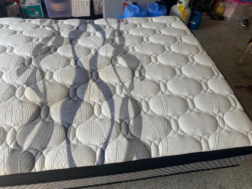 WhatsApp Image 2020-08-21 at 10.14.36 AM