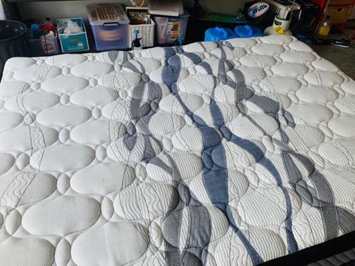 WhatsApp Image 2020-08-21 at 10.14.36 AM (1)