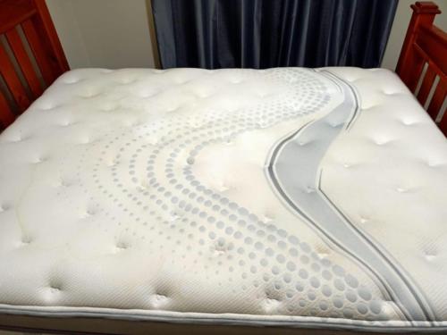 WhatsApp Image 2020-08-21 at 10.18.00 AM (2)