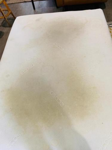 WhatsApp Image 2020-08-21 at 10.18.57 AM (3)