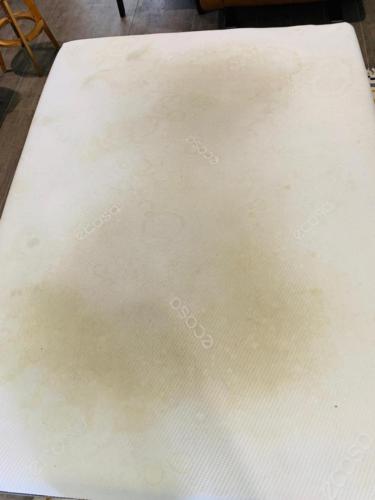 WhatsApp Image 2020-08-21 at 10.18.58 AM