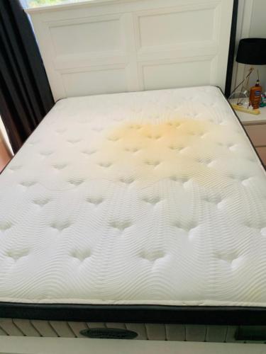 WhatsApp Image 2020-08-21 at 10.19.12 AM