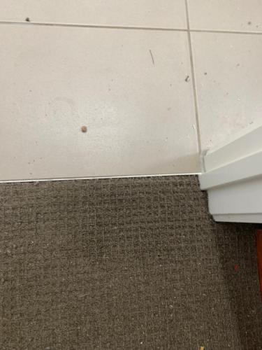 WhatsApp Image 2020-08-21 at 10.11.56 AM (1) (1)