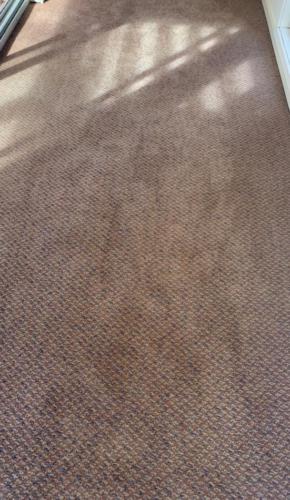 WhatsApp Image 2020-08-21 at 10.11.56 AM (2)