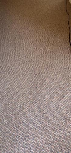 WhatsApp Image 2020-08-21 at 10.11.56 AM (3)