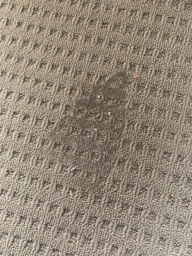 WhatsApp Image 2020-08-21 at 10.11.57 AM