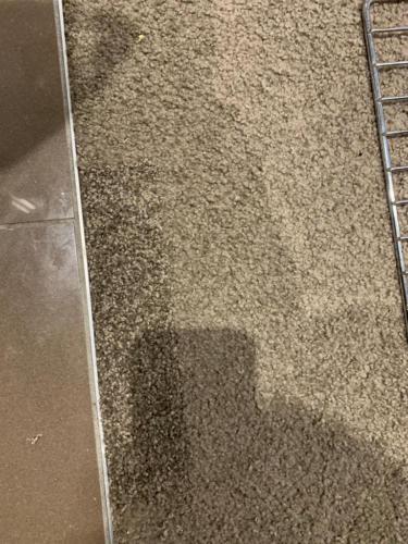 WhatsApp Image 2020-08-21 at 10.11.59 AM