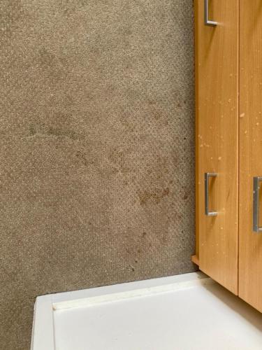 WhatsApp Image 2020-08-21 at 10.12.18 AM