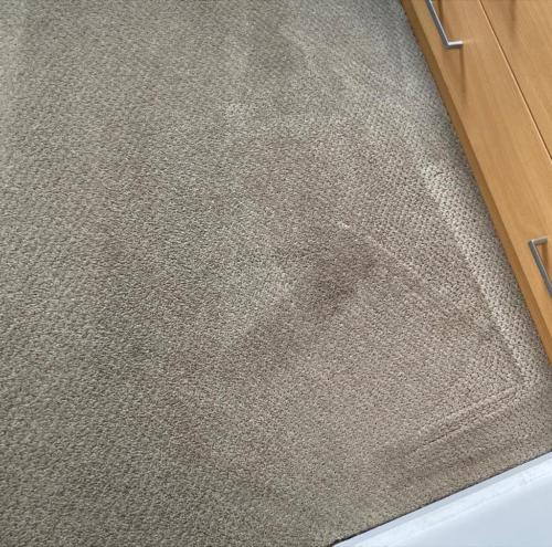 WhatsApp Image 2020-08-21 at 10.12.18 AM (1)