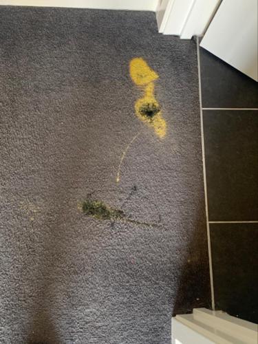 WhatsApp Image 2020-08-21 at 10.12.19 AM (2)