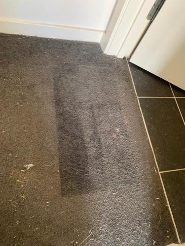 WhatsApp Image 2020-08-21 at 10.12.20 AM