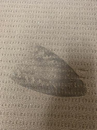 WhatsApp Image 2020-08-21 at 10.12.20 AM (3)