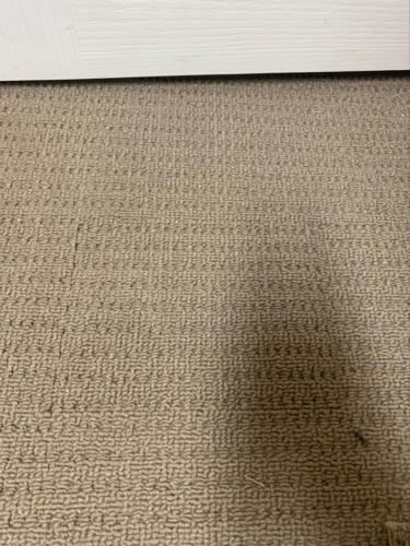 WhatsApp Image 2020-08-21 at 10.12.21 AM