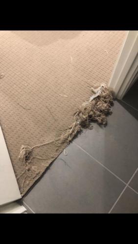 WhatsApp Image 2020-08-21 at 10.14.28 AM