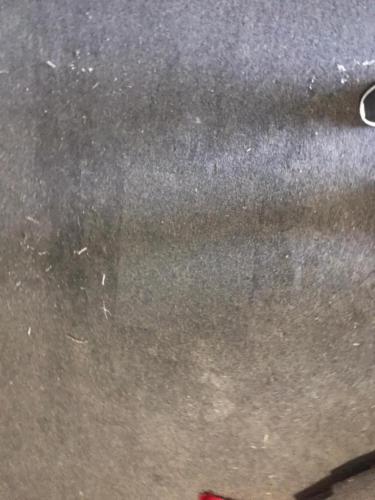 WhatsApp Image 2020-08-21 at 10.14.29 AM (1)