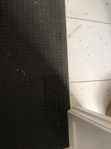 WhatsApp Image 2020-08-21 at 10.14.30 AM (1)