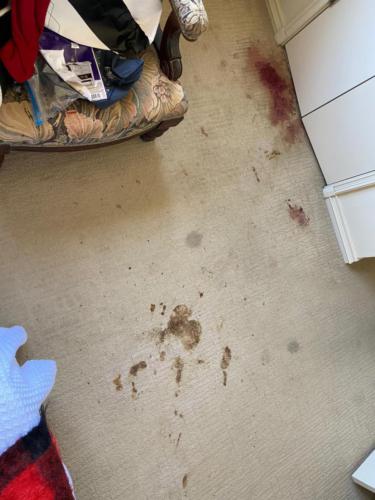 WhatsApp Image 2020-08-21 at 10.16.12 AM (1)