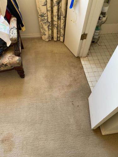 WhatsApp Image 2020-08-21 at 10.16.12 AM (2)