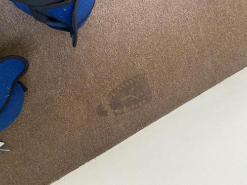 WhatsApp Image 2020-08-21 at 10.16.13 AM (1)