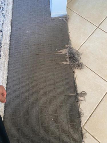 WhatsApp Image 2020-08-21 at 10.16.14 AM