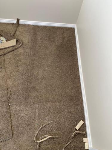 WhatsApp Image 2020-08-21 at 10.16.14 AM (2)