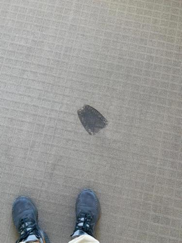 WhatsApp Image 2020-08-21 at 10.16.15 AM (1)