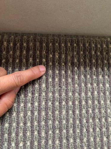 WhatsApp Image 2020-08-21 at 10.16.16 AM