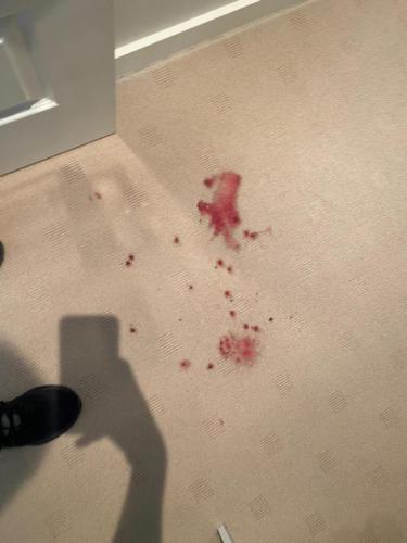 WhatsApp Image 2020-08-21 at 10.16.16 AM (1)