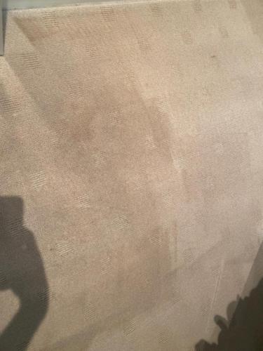 WhatsApp Image 2020-08-21 at 10.16.16 AM (2)