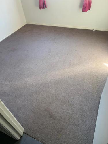 WhatsApp Image 2020-08-21 at 10.17.16 AM