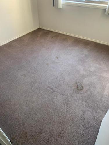 WhatsApp Image 2020-08-21 at 10.17.16 AM (1)