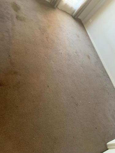 WhatsApp Image 2020-08-21 at 10.17.16 AM (2)