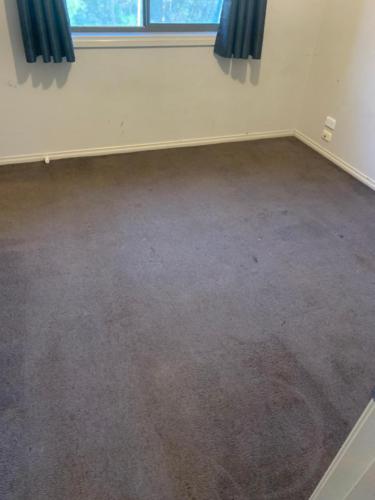 WhatsApp Image 2020-08-21 at 10.17.17 AM