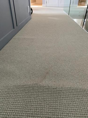 WhatsApp Image 2020-08-21 at 10.17.18 AM