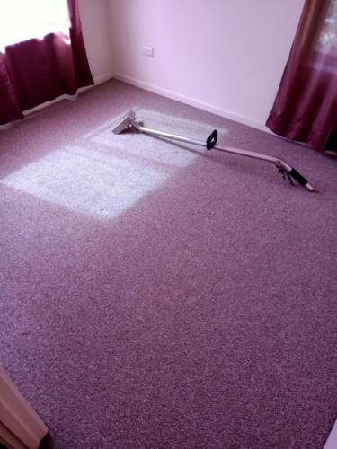 WhatsApp Image 2020-08-21 at 10.17.55 AM (2)