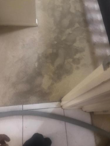 WhatsApp Image 2020-08-21 at 10.17.57 AM (1)