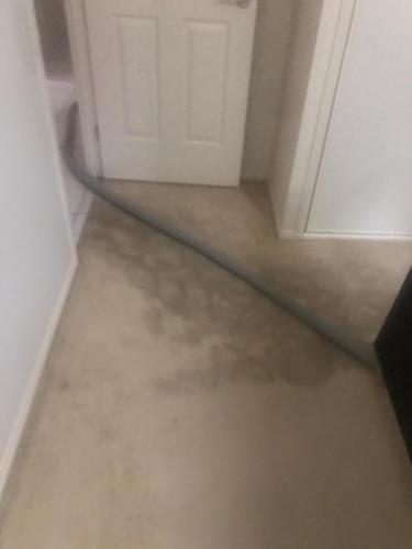 WhatsApp Image 2020-08-21 at 10.17.58 AM (1)