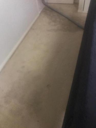 WhatsApp Image 2020-08-21 at 10.17.58 AM (2)