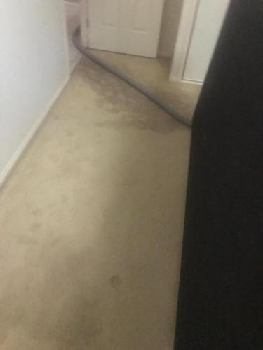 WhatsApp Image 2020-08-21 at 10.17.59 AM