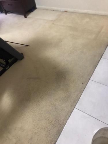 WhatsApp Image 2020-08-21 at 10.17.59 AM (1)