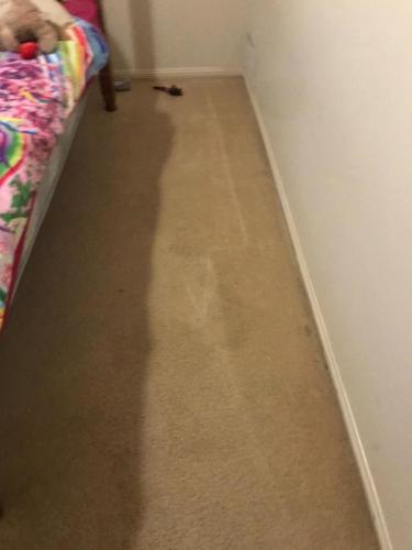 WhatsApp Image 2020-08-21 at 10.17.59 AM (2)