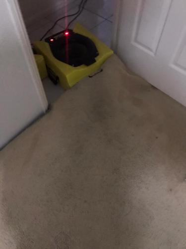 WhatsApp Image 2020-08-21 at 10.17.59 AM (3)